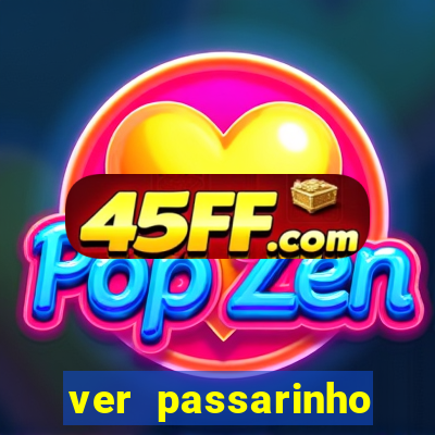 ver passarinho morto significado espiritual